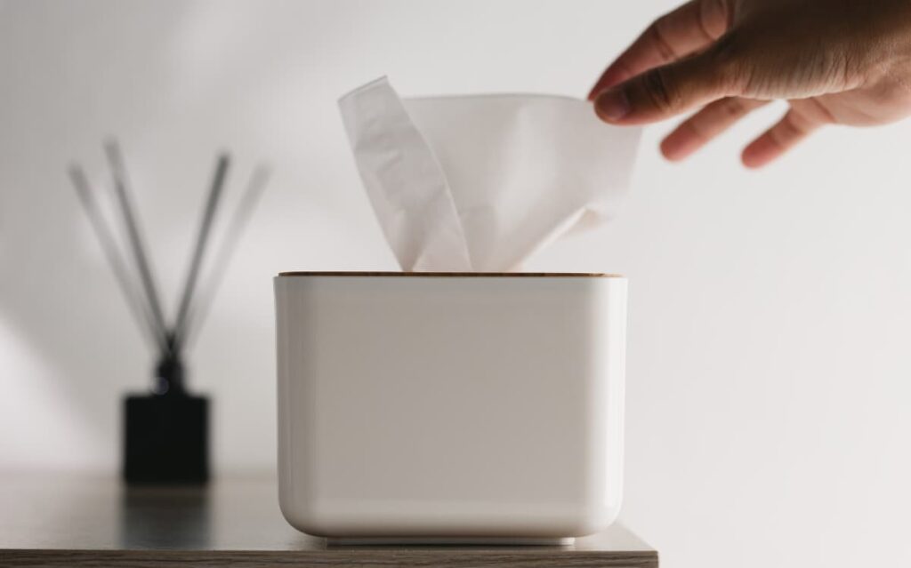A box of tissue inside cruise cabin.