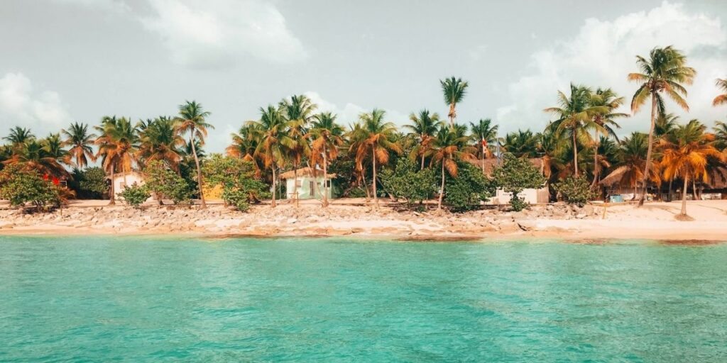 Catalina Island shoreline with turquoise water, palm trees, and beachside buildings in the Dominican Republic.