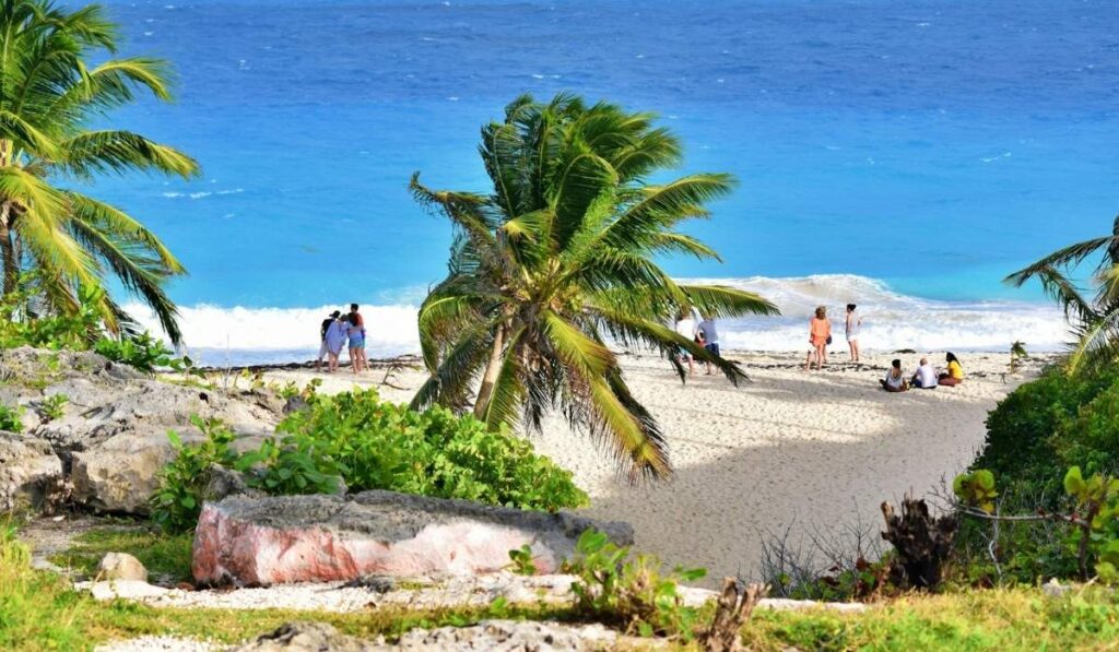 Palm trees frame a sandy path to a turquoise Barbados beach as visitors relax near the surf.