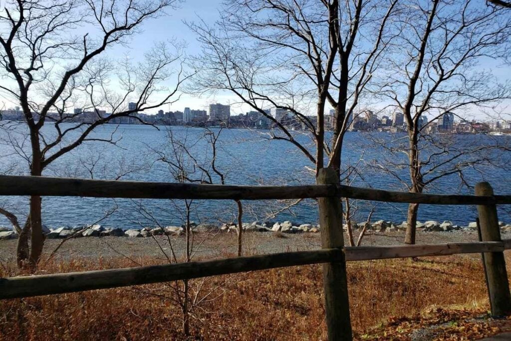 View of Halifax, Nova Scotia, across the harbor, with bare trees, a wooden fence, and the city skyline in the distance.