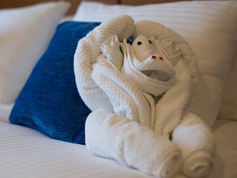 Carnival towel animal