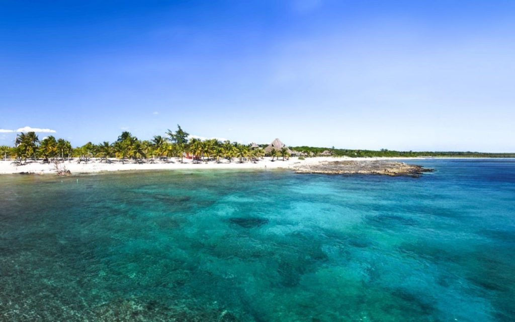Crystal clear waters of Costa Maya with a lush palm tree-lined beach and the serene backdrop of a cloudless sky.