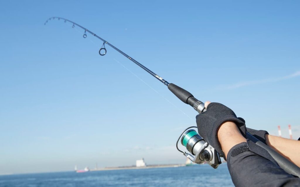 Fishing rod and reel in cruise ship cabin, highlighting a passenger's misjudgment in packing unnecessary recreational equipment.
