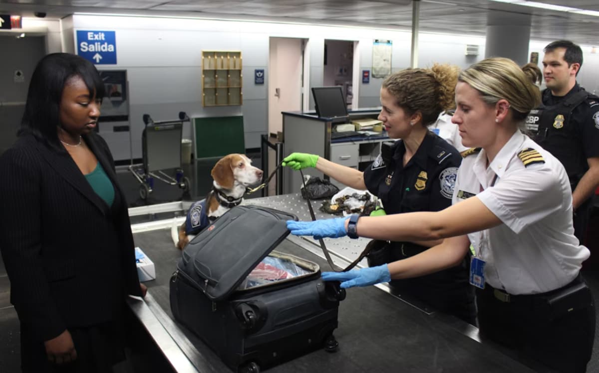 What Really Happens If You’re Caught with Drugs on a Cruise Ship