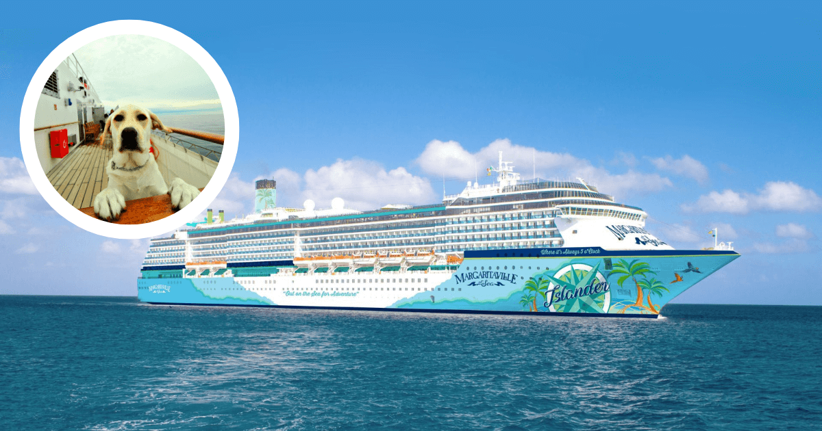 Meet the First Dog-Friendly Cruise – and Why It’s Dividing Opinions
