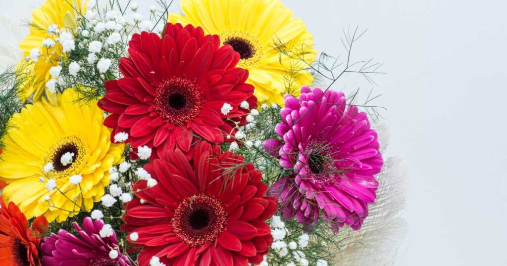 A bunch of brightly covered flowers.