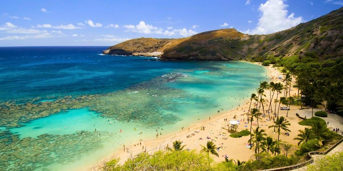 A photo of the landscape of Hawaii.