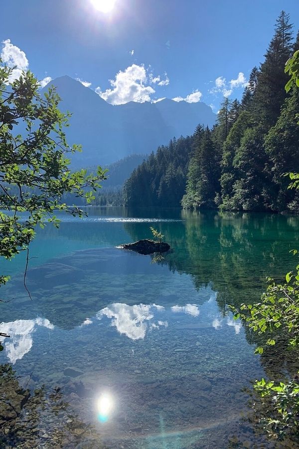 Crystal-clear alpine lake with turquoise waters reflecting clouds, trees, and the sun, surrounded by dense evergreen forest and backed by misty mountain peaks. A small rock with a tiny plant juts out of the water near the center, while branches frame the peaceful scene.