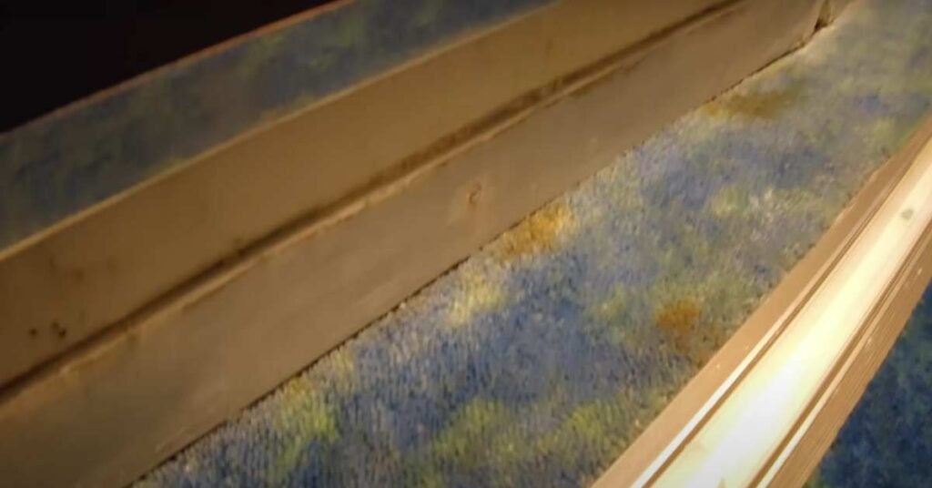 Margaritaville at Sea Paradise Carpet Stains