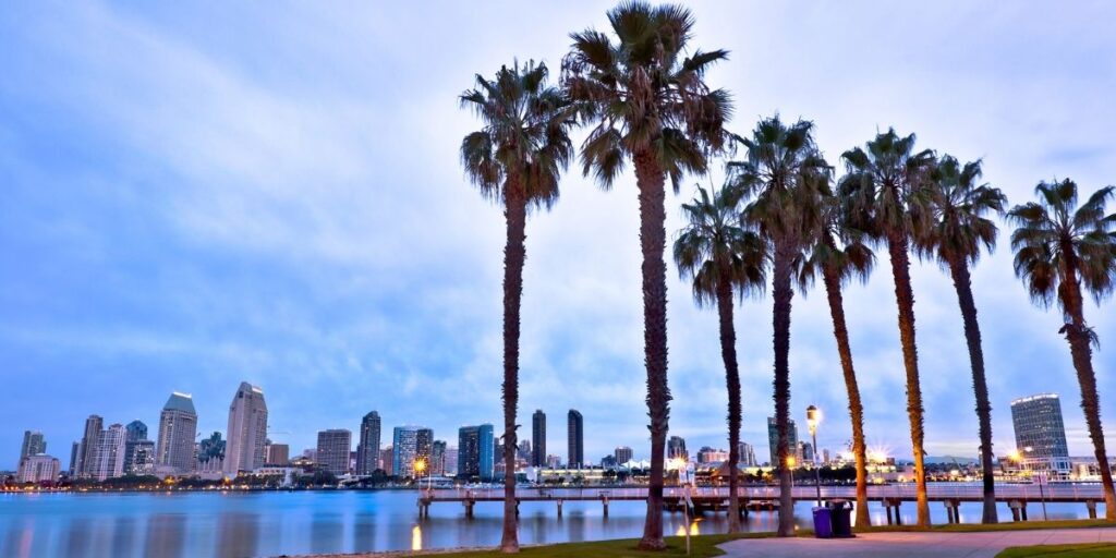 A row of tall palm trees lines the waterfront in front of the San Diego skyline at dusk, with the buildings glowing under a soft blue sky. The calm water reflects the city lights, adding to the serene and coastal California atmosphere.