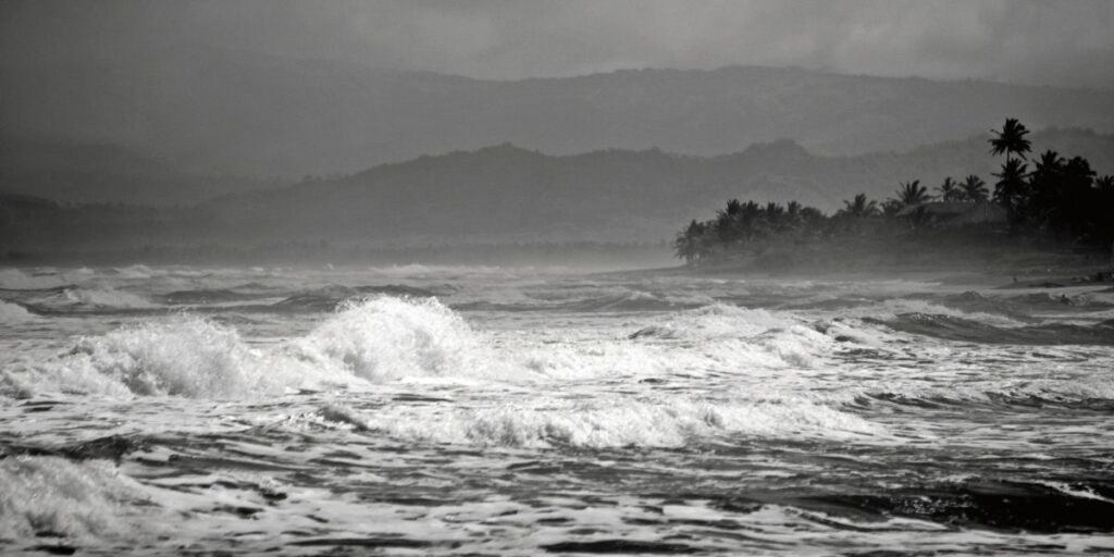 A monochromatic scene captures the Caribbean's stormy season, with rough waves foregrounding a coastline peppered with palm trees, all under the shroud of an overcast sky. The image conveys a sense of solitude and the might of natural forces during the turbulent tropical weather.