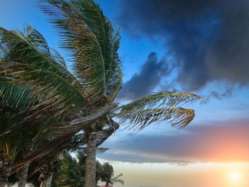 Caribbean storm