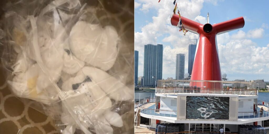 Carnival Towel Animals Found