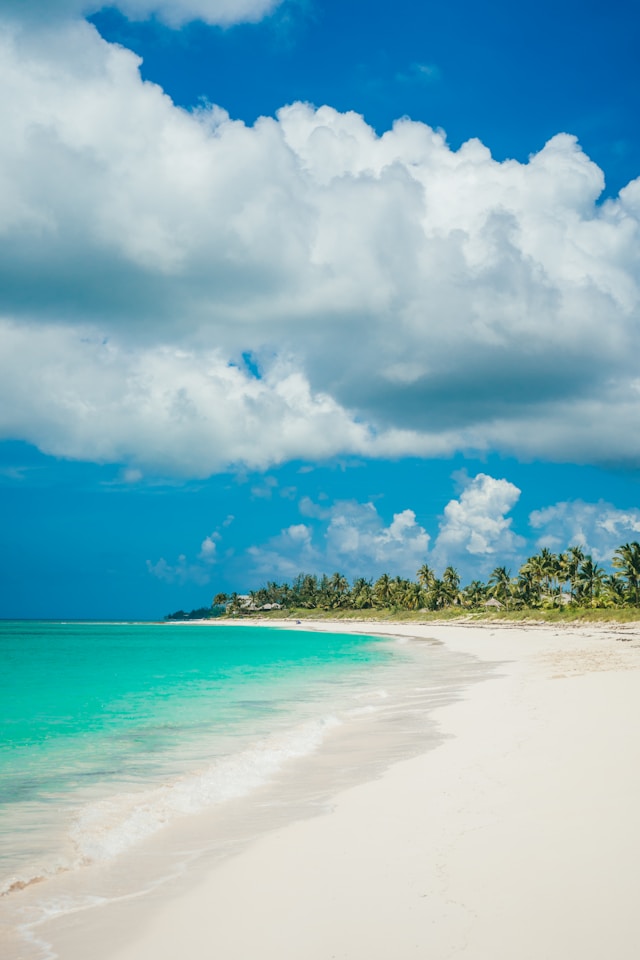 Quiet white-sand beach in the Bahamas with bright turquoise water, palm trees along the shore, and big white clouds overhead.