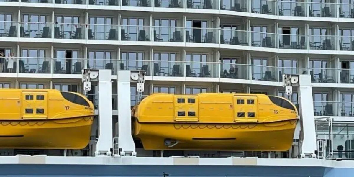 A photo that shows what's blocking the cabin view that ruins the experience for anyone staying there