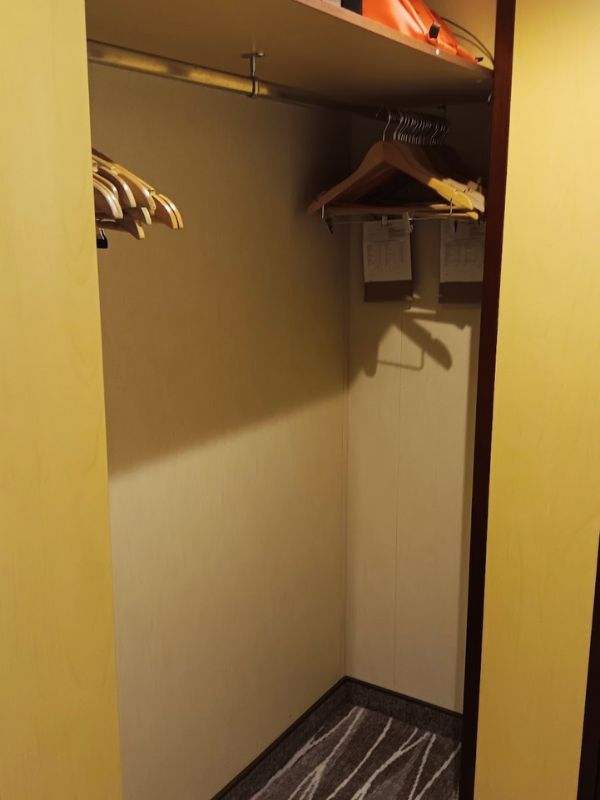 The image shows the **mini-suite wardrobe on the Regal Princess**. It is spacious and includes a hanging rod with several wooden hangers. A shelf at the top is used for storing additional items, such as life vests. The wardrobe is clean, simple, and designed to provide ample storage for guests.