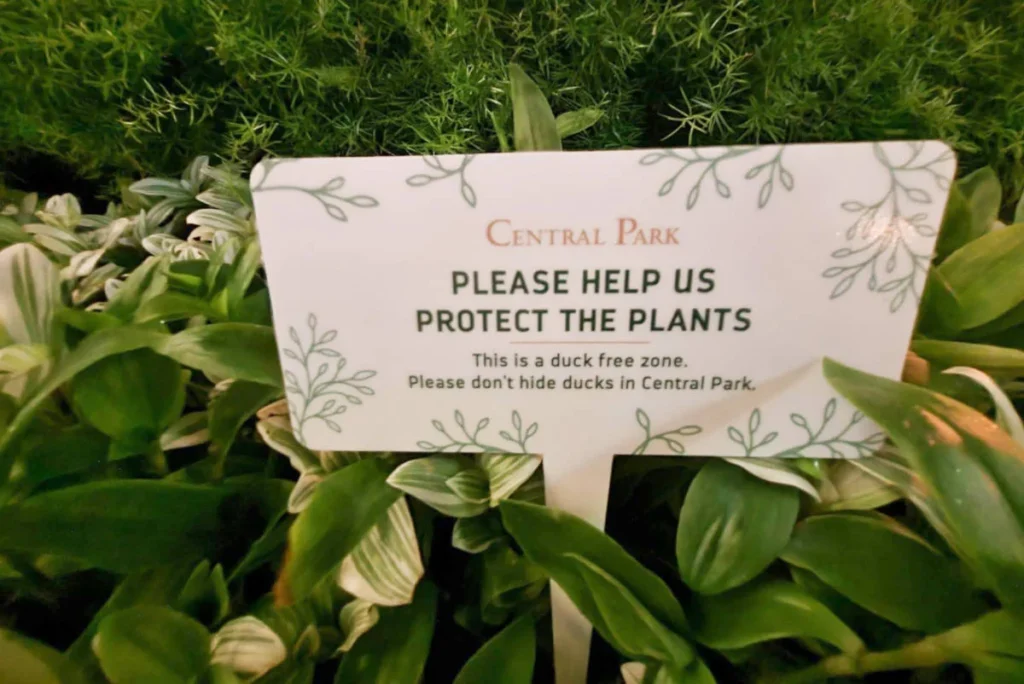 A sign nestled in lush green plants reads, "Central Park: Please help us protect the plants. This is a duck free zone. Please don't hide ducks in Central Park." The message is both serious and humorous, surrounded by decorative leaf illustrations.