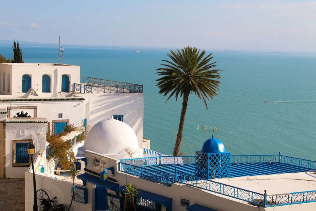 White and blue seaside buildings with domed rooftops in Sidi Bou Said, Carthage, Tunisia, overlooking a calm turquoise sea, with a tall palm tree in the foreground.
