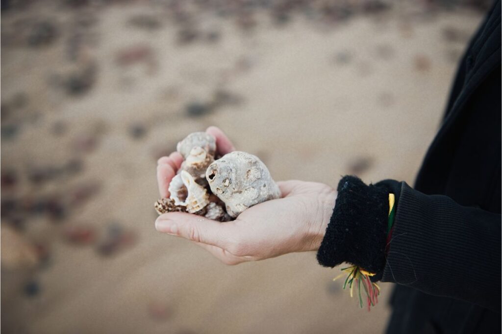 The image depicts a close-up of a person holding several seashells in their hand, with a blurred sandy beach background. The person is dressed in dark clothing, and the seashells appear varied in shape and texture, showcasing their natural beauty.